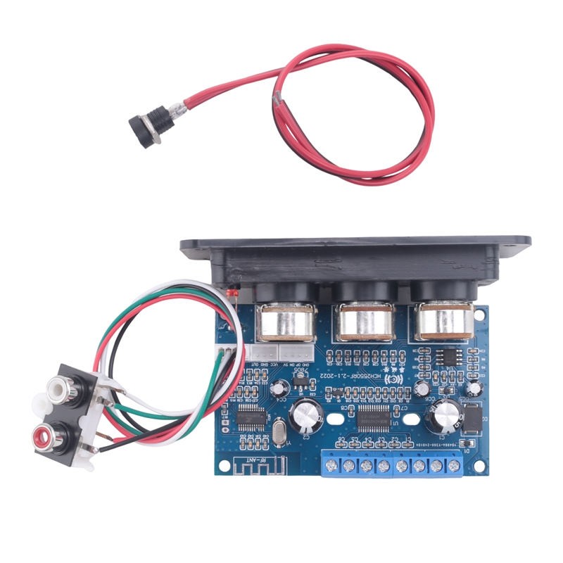 2.1 Channel Bluetooth 5.0 Audi - Audio Amplifier Board review and price