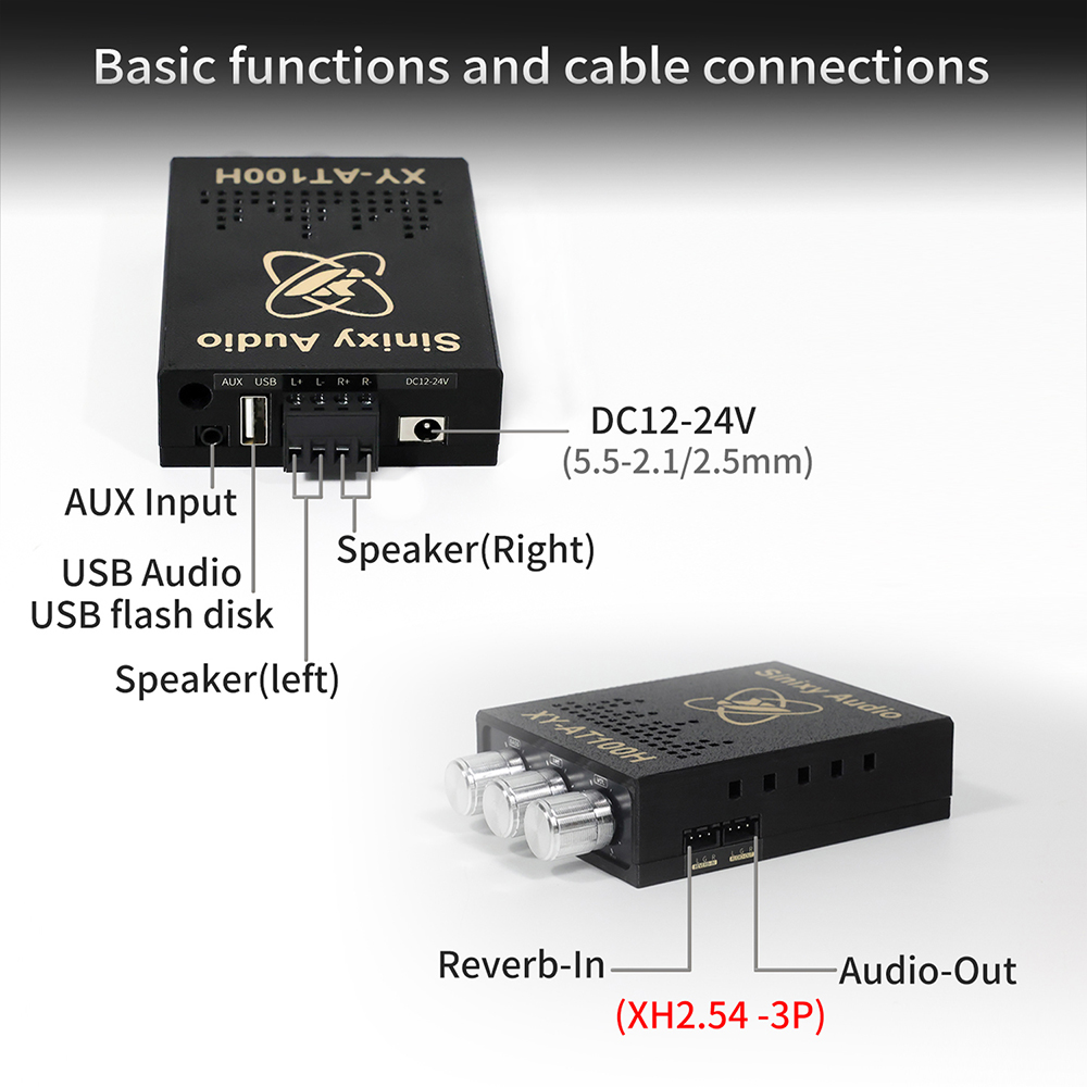 Sinixy Audio XY AT100H TWS Ste - Sbc Audio Amplifier review and price