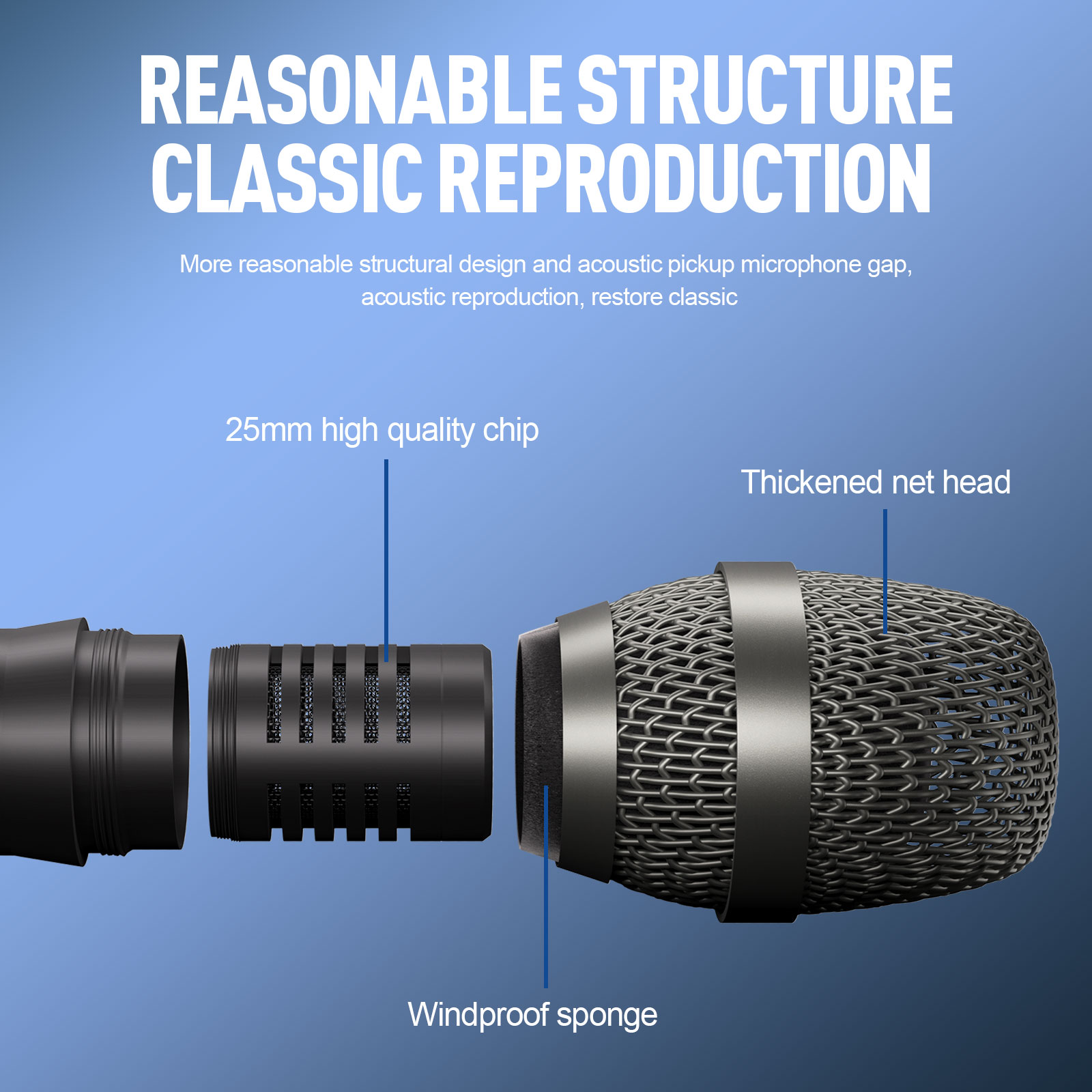 Debra CDS-25 Professional Cond - Condenser Microphone Kit review and price