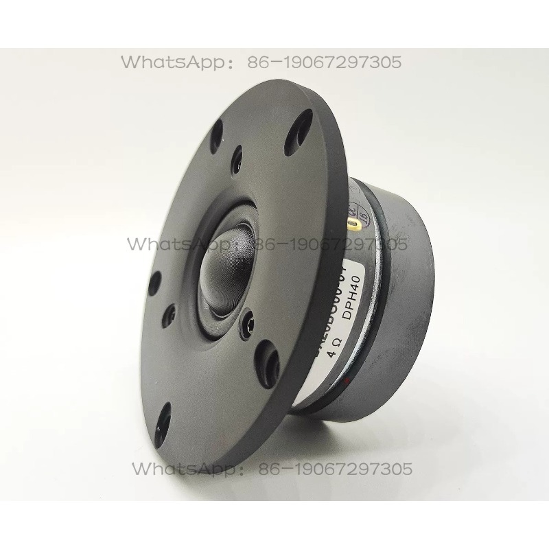 DX25BG60-04 Double Magnetic Wi - Tweeter review and price