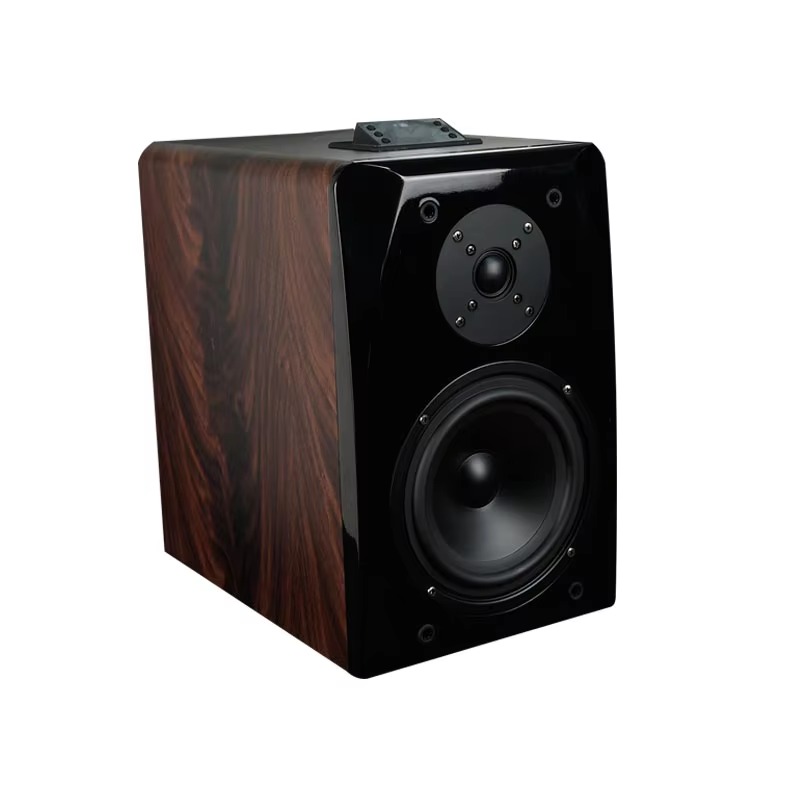 High Performance Active Karaok - Woofer review and price