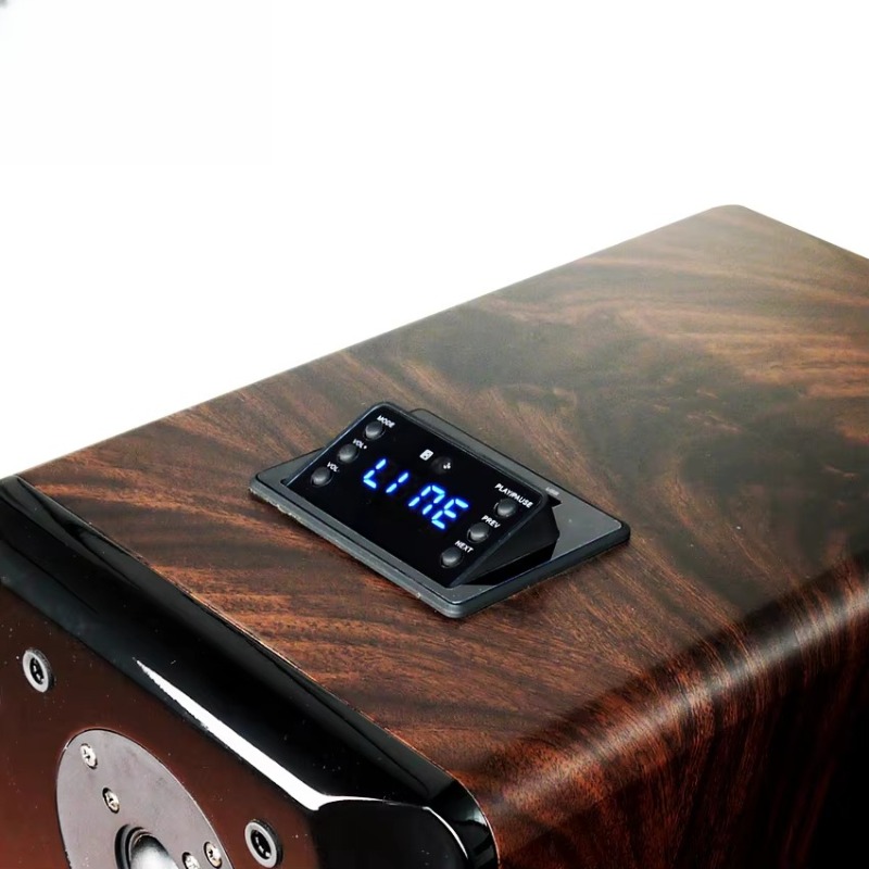 High Performance Active Karaok - Woofer review and price