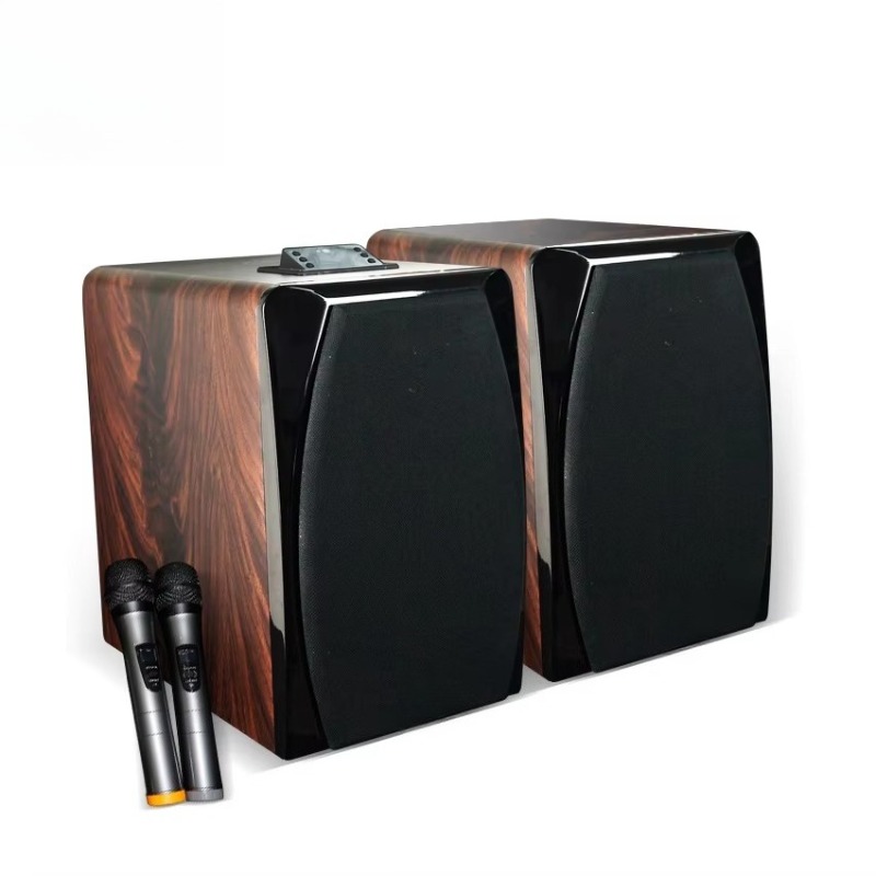 High Performance Active Karaok - Woofer review and price