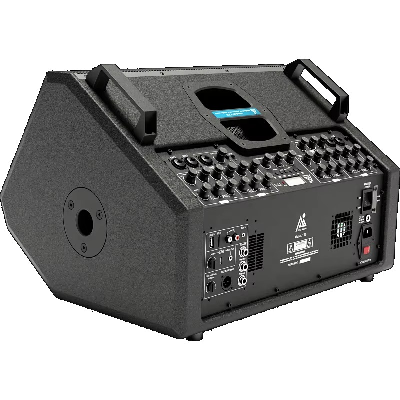 Rechargeable Active Stage Spea - Tweeter review and price