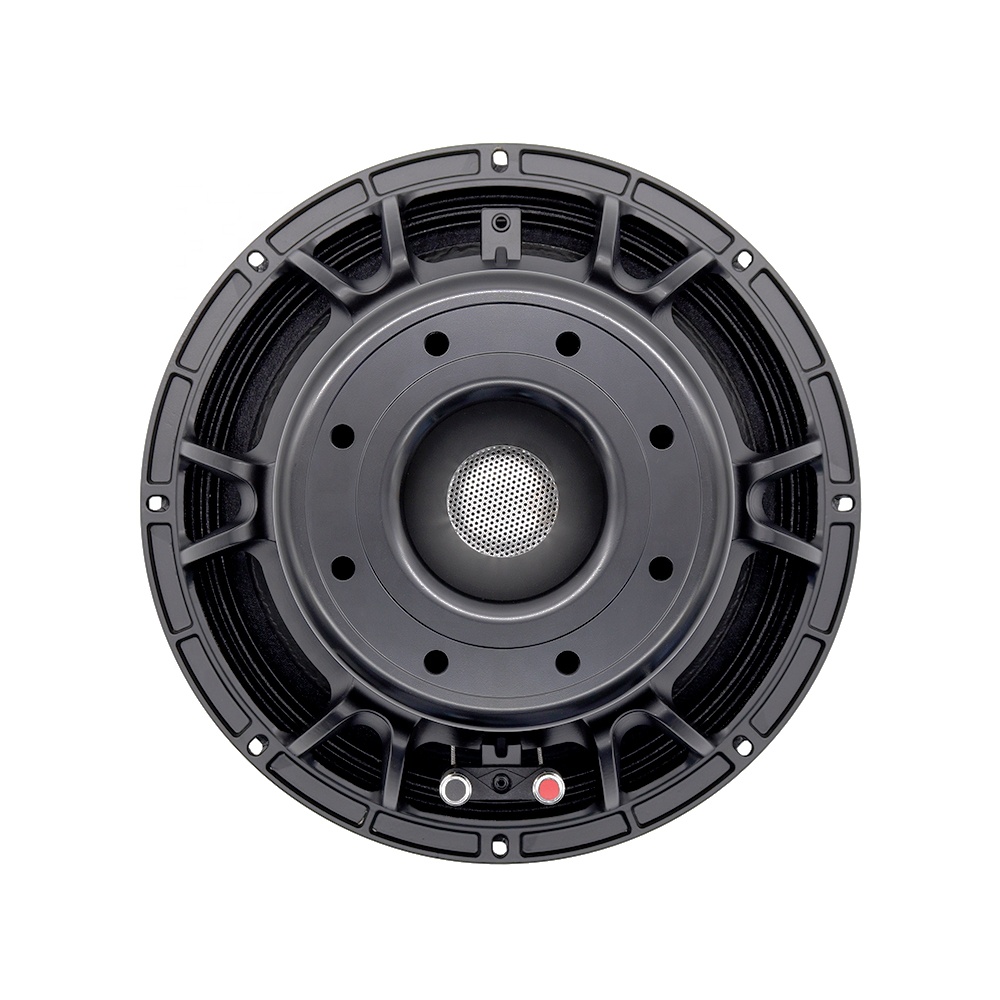12DS Pro Audio Equipment 12''  - Subwoofer review and price