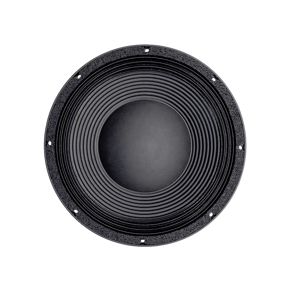 12DS Pro Audio Equipment 12''  - Subwoofer review and price