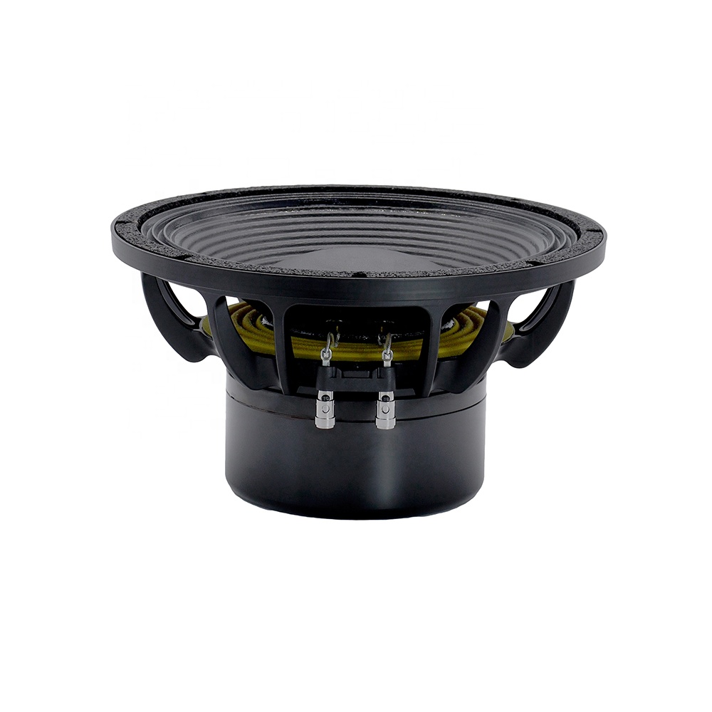 12DS Pro Audio Equipment 12''  - Subwoofer review and price