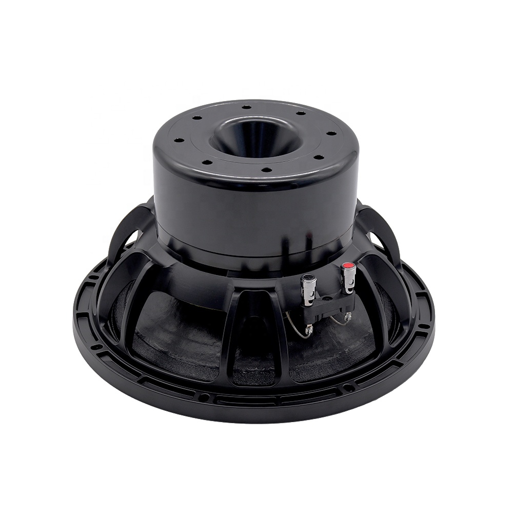 12DS Pro Audio Equipment 12''  - Subwoofer review and price