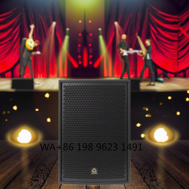 High Power Full Range Professi - Full Range Speaker review and price